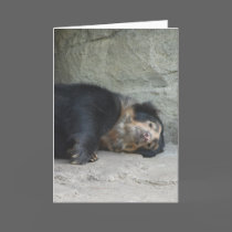 "Spectacled Bear 1" Greeting Card