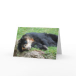 "Spectacled Bear 2" Greeting Card