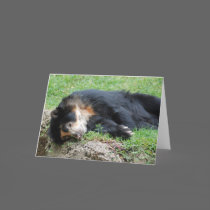 "Spectacled Bear 2" Greeting Card by smilodonart "Spectacled Bear 2" Greeting Card