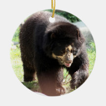Spectacled Bear Ornaments