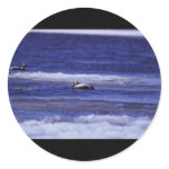 Spectacled Eider Drakes stickers