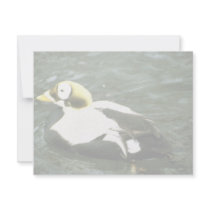 Spectacled Eider invitations by animalpark Spectacled Eider invitations