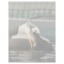 Spectacled Eider Male letterhead by animalpark Spectacled Eider Male letterhead