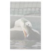 Spectacled Eider Male Personalized Stationery