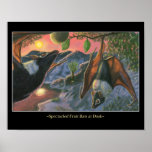 Spectacled Fruit Bats at Dusk Posters