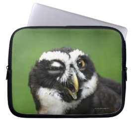 Spectacled Owl (Pulsatrix perspicillata) Laptop Sleeves
