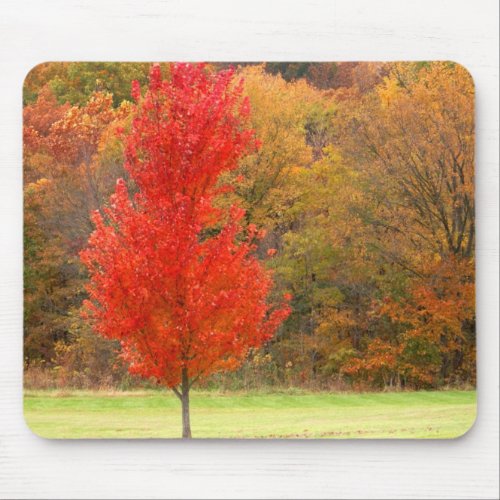 Spectacular Fall Colors mousepad