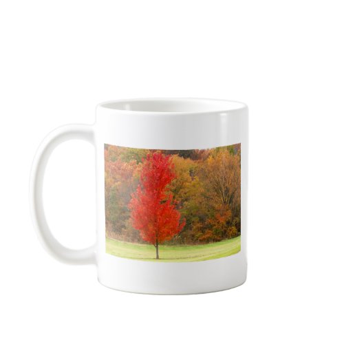 Spectacular Fall Colors mug