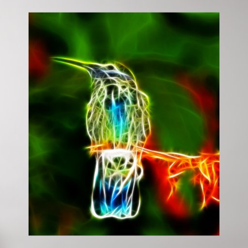 Spectacular Hummingbird Portrait Print