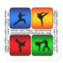 Spectacular Karate Sticker