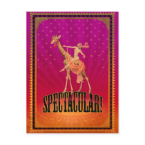 Spectacular! Post Cards