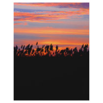 Spectacular Sunset flyers by creative_eye Spectacular Sunset flyers