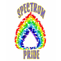 Spectrum Pride Kids' Dark Shirts