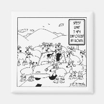 Speed Limit Enforced By Goats Magnets