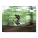 Speed posters