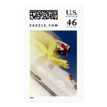 Speed Ski Racing photo postage