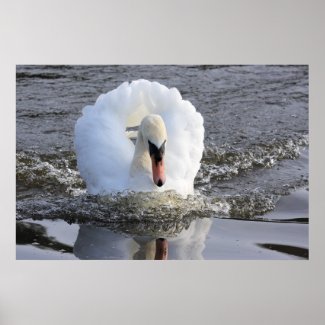 Speeding Swan Print print
