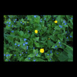 Speedwell and Buttercups posters