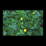 Speedwell and Buttercups canvas prints