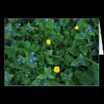 Speedwell and Buttercups cards