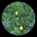 Speedwell and Buttercups stickers