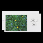 Speedwell and Buttercups - Thank You photo cards