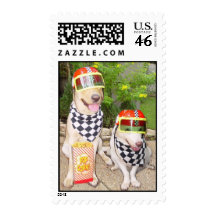 Speedy Lab Stamp