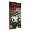 Spektral Premium Canvas (Matte) wrappedcanvas