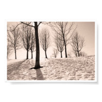 spending winter posters by blacqbook spending winter posters