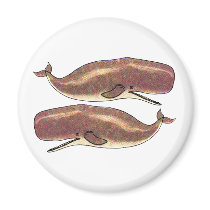 Sperm Whale Refrigerator Magnet