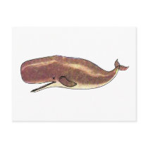 Sperm Whale Post Card