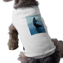 Sperm Whale Tail pet clothing by alternateworlds Sperm Whale Tail pet clothing