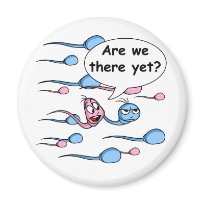 SPERMS RACING Magnet by nassosvakalis