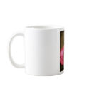 sphaerlcea mugs
