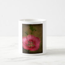 sphaerlcea mugs by ImagesbyLorraine sphaerlcea mugs