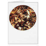 Sphere Leaves cards