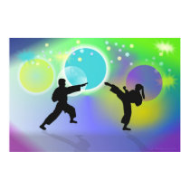 Spheres of Martial Arts poster