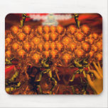 Spherical Enlightenment mousepads