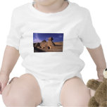 Sphinx and Pyramids at Giza Cairo Egypt Tshirt Sphinx and Pyramids at Giza Cairo Egypt Tshirt