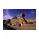 Sphinx and Pyramids at Giza Cairo Egypt Tshirt Sphinx and Pyramids at Giza Cairo Egypt Tshirt