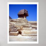 sphinx border posters