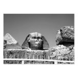 Sphinx Business Card Templates