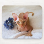 Sphinx Cat with Blue Tinsel Mousepad