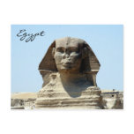 sphinx face egypt postcards