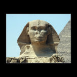 sphinx face post card