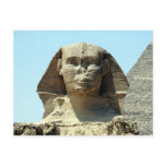 sphinx face postcards