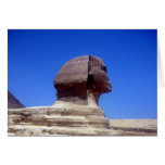 sphinx head cards