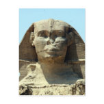 sphinx head postcard