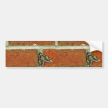 Sphinx moth bumper sticker