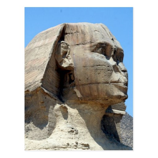 sphinx no nose postcard Zazzle